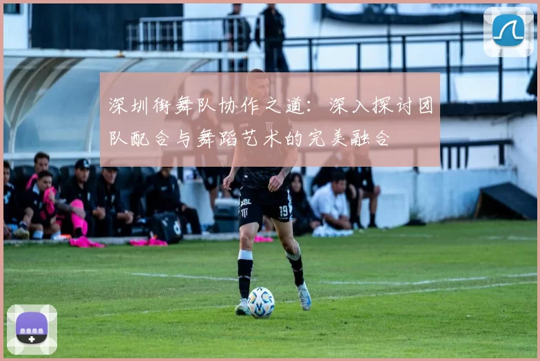 深圳街舞队协作之道:深入探讨团队配合与舞蹈艺术的完美融合
