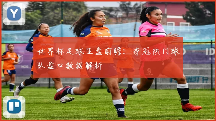 世界杯足球亚盘前瞻：夺冠热门球队盘口数据解析
