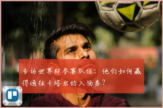专访世界杯参赛队伍：他们如何赢得通往卡塔尔的入场券？