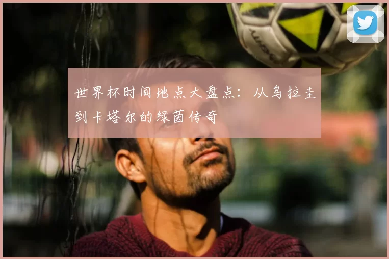世界杯时间地点大盘点:从乌拉圭到卡塔尔的绿茵传奇