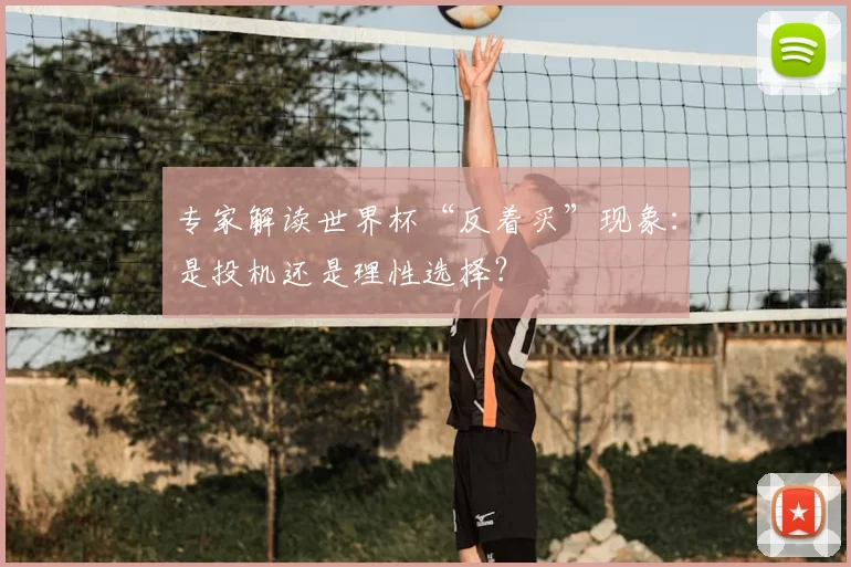 专家解读世界杯“反着买”现象:是投机还是理性选择?