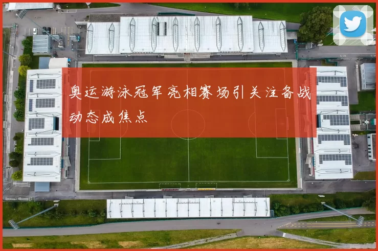 奥运游泳冠军亮相赛场引关注备战动态成焦点