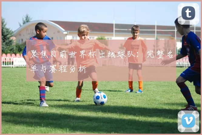 聚焦目前世界杯出线球队：完整名单与赛程分析