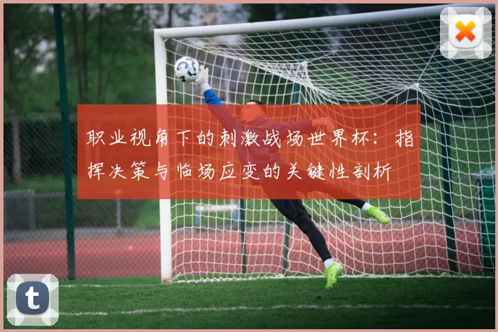 职业视角下的刺激战场世界杯:指挥决策与临场应变的关键性剖析