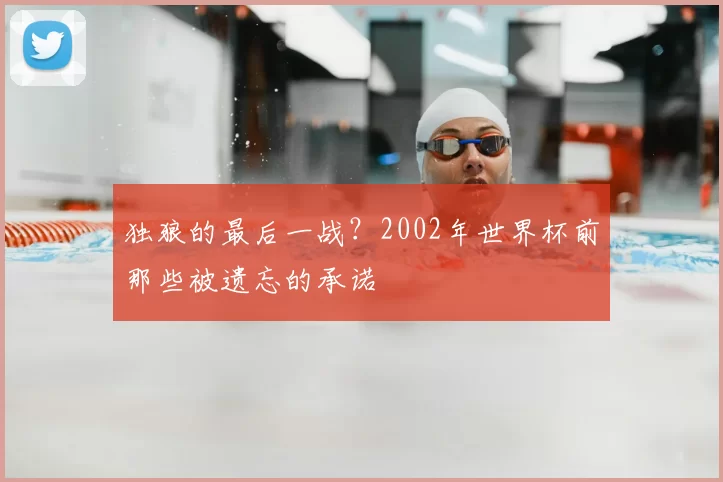 独狼的最后一战？2002年世界杯前那些被遗忘的承诺
