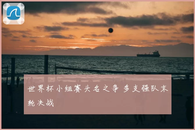 世界杯小组赛头名之争 多支强队末轮决战