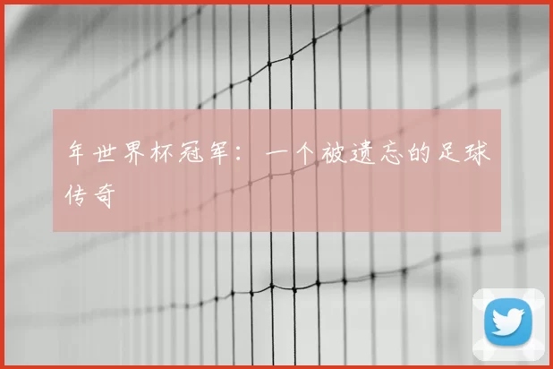 年世界杯冠军:一个被遗忘的足球传奇