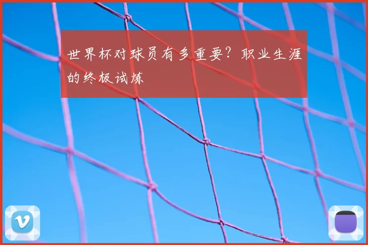世界杯对球员有多重要?职业生涯的终极试炼