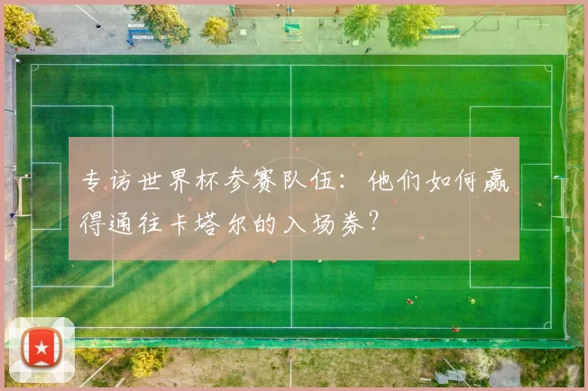 专访世界杯参赛队伍：他们如何赢得通往卡塔尔的入场券？