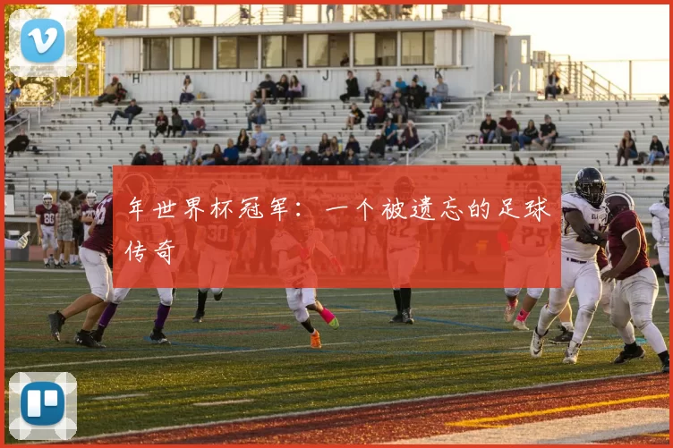 年世界杯冠军:一个被遗忘的足球传奇