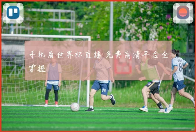 手机看世界杯直播 免费高清平台全掌握