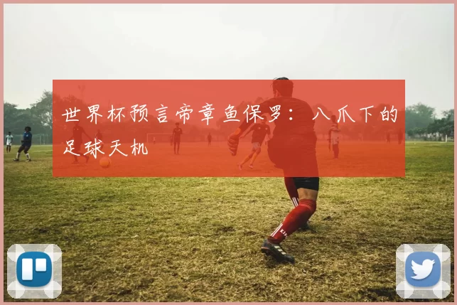 世界杯预言帝章鱼保罗:八爪下的足球天机