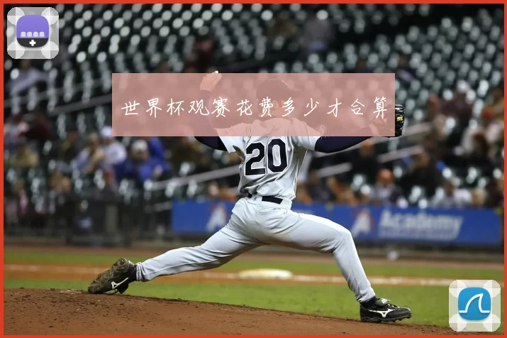 世界杯观赛花费多少才合算