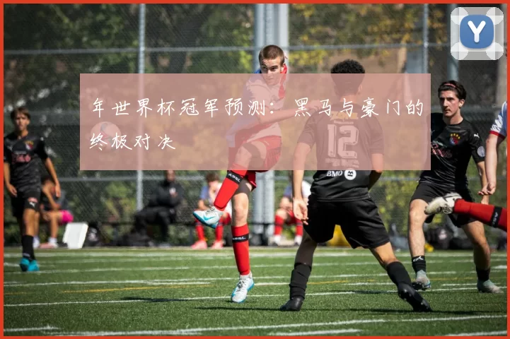 年世界杯冠军预测:黑马与豪门的终极对决