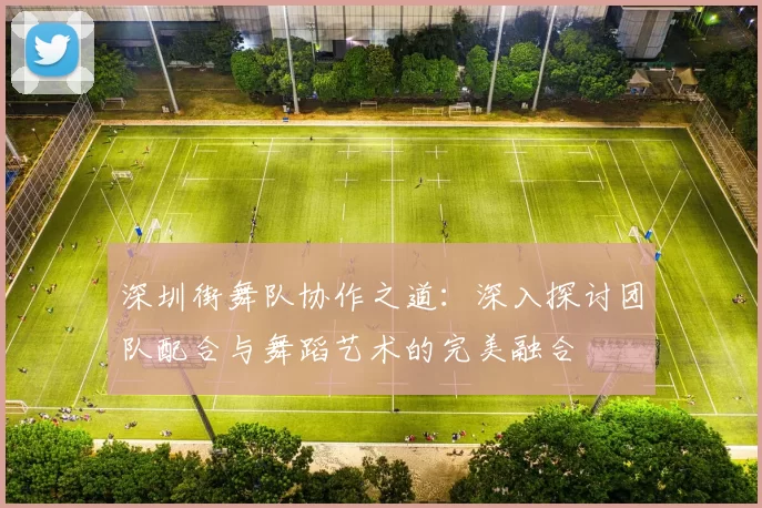 深圳街舞队协作之道:深入探讨团队配合与舞蹈艺术的完美融合