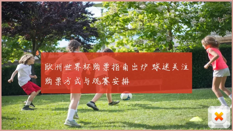 欧洲世界杯购票指南出炉 球迷关注购票方式与观赛安排