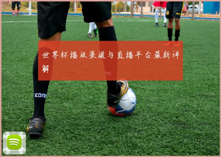 世界杯播放渠道与直播平台最新详解
