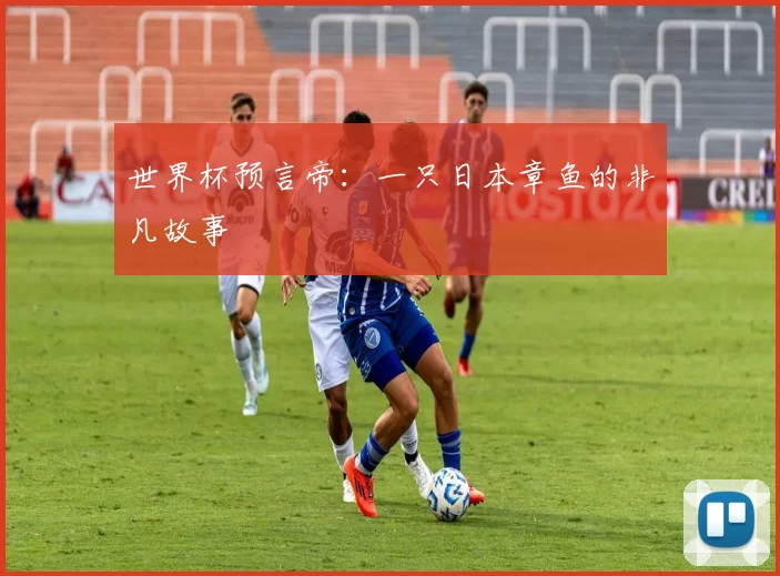 世界杯预言帝:一只日本章鱼的非凡故事