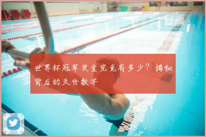 世界杯冠军奖金究竟有多少?揭秘背后的天价数字
