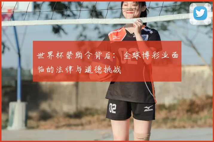 世界杯禁购令背后:全球博彩业面临的法律与道德挑战