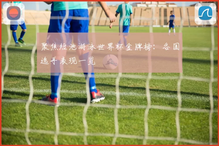 聚焦短池游泳世界杯金牌榜：各国选手表现一览