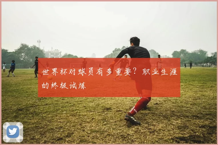 世界杯对球员有多重要?职业生涯的终极试炼