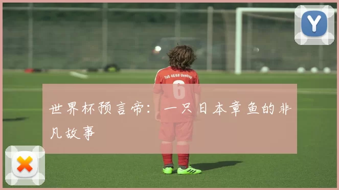 世界杯预言帝:一只日本章鱼的非凡故事
